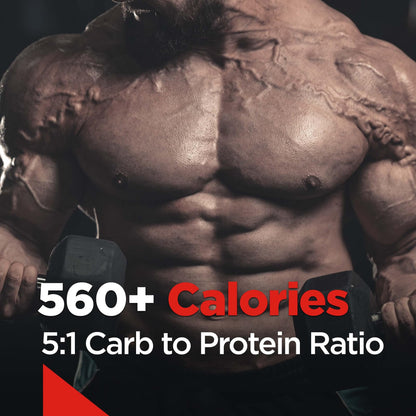 Rule One Proteins, R1 Clean Gainer - High-Protein Lean Gain Formula with 560 Calories, 30g of Full-Spectrum Protein, Over 90g Carbs, Under 6g of Fat (15 Servings, Vanilla Crème)